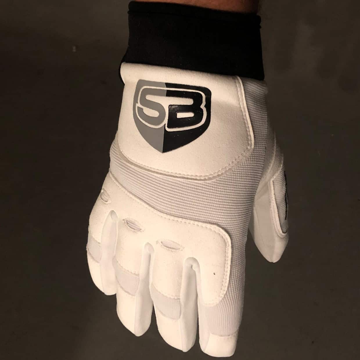 SEBRA EXTREME GLOVES IV