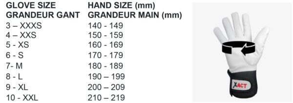 Tableau des tailles de gants