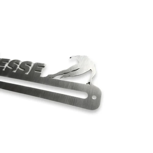 Porte-médailles pour patineur de vitesse